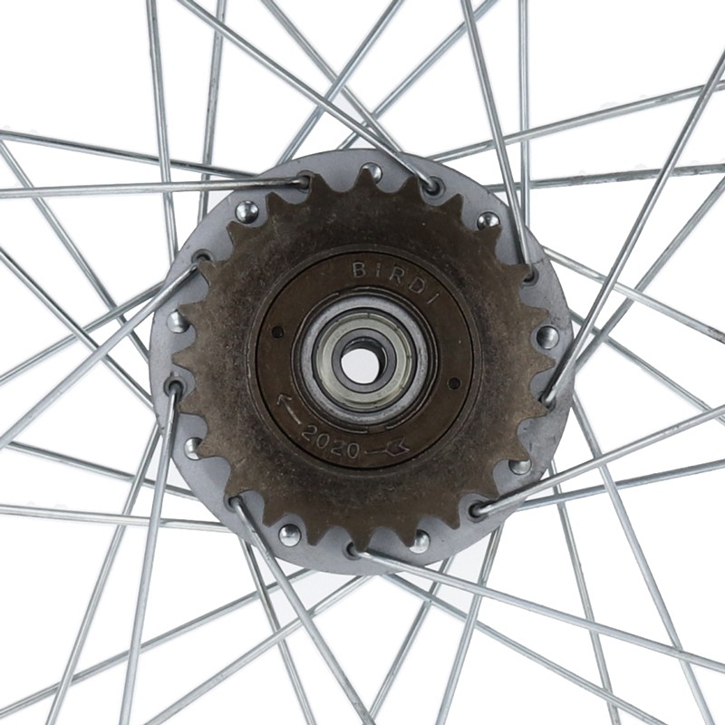 Freewheel demonteren