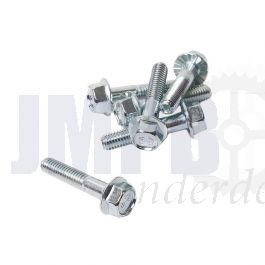 Flensbout Frame Model Honda M6X30
