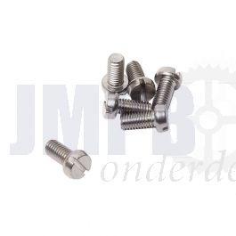 Cilinderbout M5X10 RVS Din 84