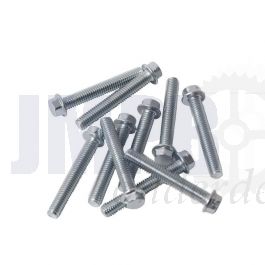 Carter Flensbout Per Stuk M6X45 Model Honda