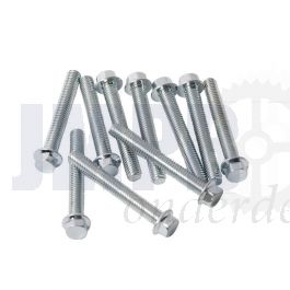 Carter Flensbout Per Stuk M6X50 Model Honda