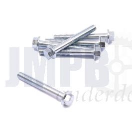 Flensbout ELVZ M6X45 SW8