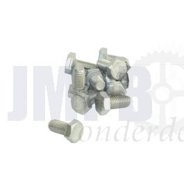 Bout Zeskant M8X20 RVS Din 933