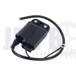 Bobine/CDI ELECTRONISCH Citta-Ciao