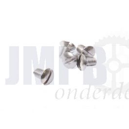 Lensbout M6X10 RVS Din 964