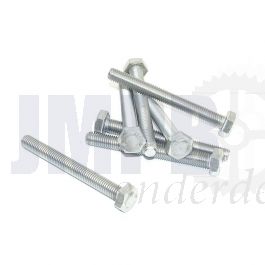 Bout Zeskant M10X90 RVS Din 933