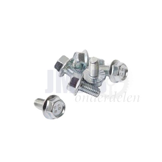 Flensbout ELVZ Vertand M6X12 Din 6921