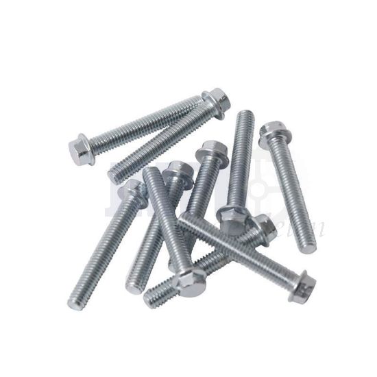 Carter Flensbout Per Stuk M6X45 Model Honda