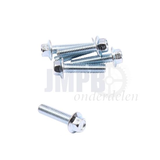 Flensbout ELVZ M6X25 SW8