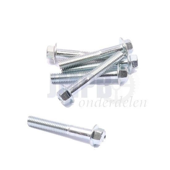 Flensbout ELVZ M6X40 SW8