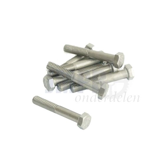 Bout Zeskant M6X40 RVS Din 931