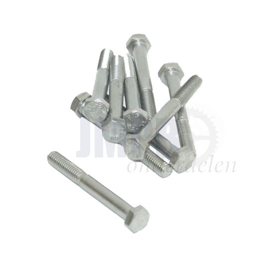 Bout Zeskant M6X50 RVS Din 931