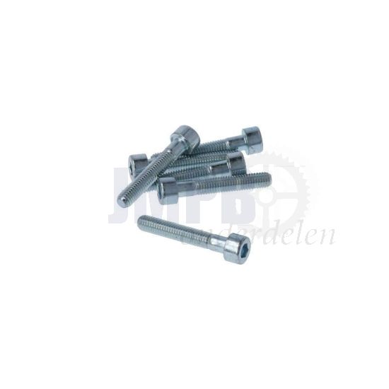Inbusbout M5X30 Verzinkt Din 912