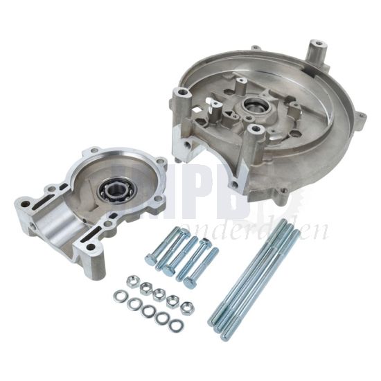 Carterset Vespa Puntenontsteking