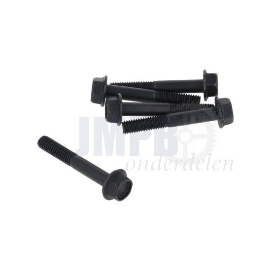 Flensbout Zwart M6X40 Zeskant SW10