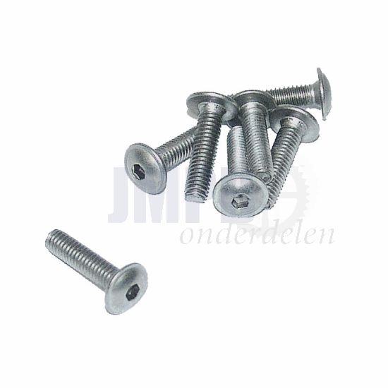 Flensbout RVS M4X16 BZK