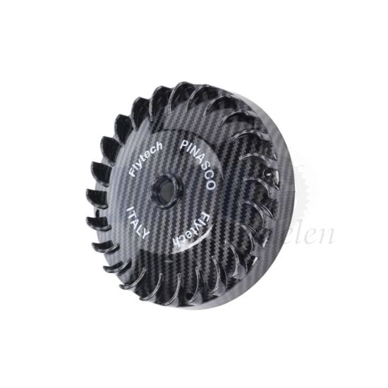 Vliegwiel Citta/Ciao/Si Pinasco Electronische Ontsteking