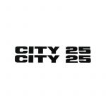 Stickerset City 25 Zijscherm Zwart 165X25MM
