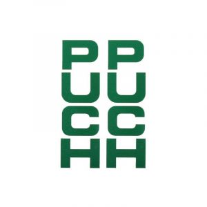 Stickerset Voorvork Puch Maxi Groen 26X94MM