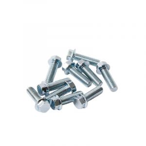 Carter Flensbout Per Stuk M6X20 Model Honda