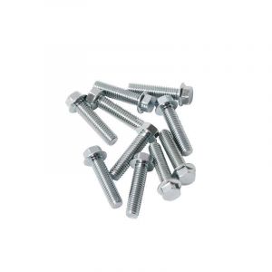 Carter Flensbout Per Stuk M6X25 Model Honda
