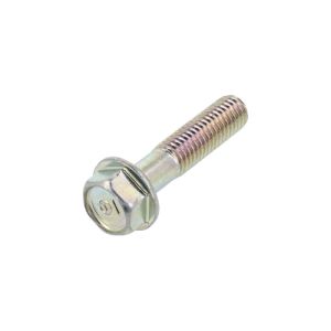 Flensbout Kroonstuk Origineel Honda M8X35