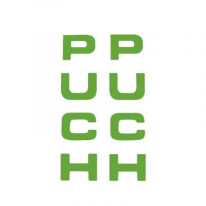 Stickerset Voorvork Puch Groen