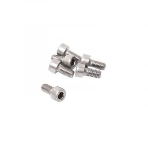 Inbusbout M6X10 RVS Din 912
