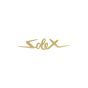 Sticker Solex Goud 70X17MM
