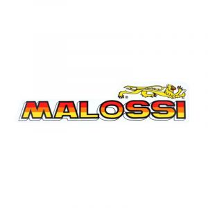 Sticker Malossi Medium 22CM