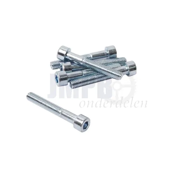 Inbusbout M6X40 Verzinkt Din 912