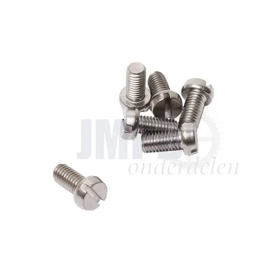Cilinderbout M5X10 RVS Din 84