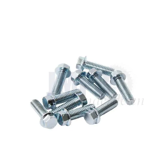 Carter Flensbout Per Stuk M6X20 Model Honda