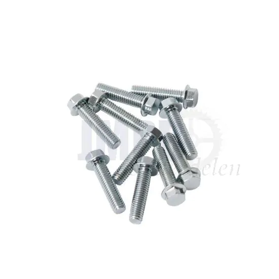 Carter Flensbout Per Stuk M6X25 Model Honda