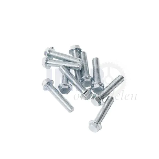 Carter Flensbout Per Stuk M6X30 Model Honda