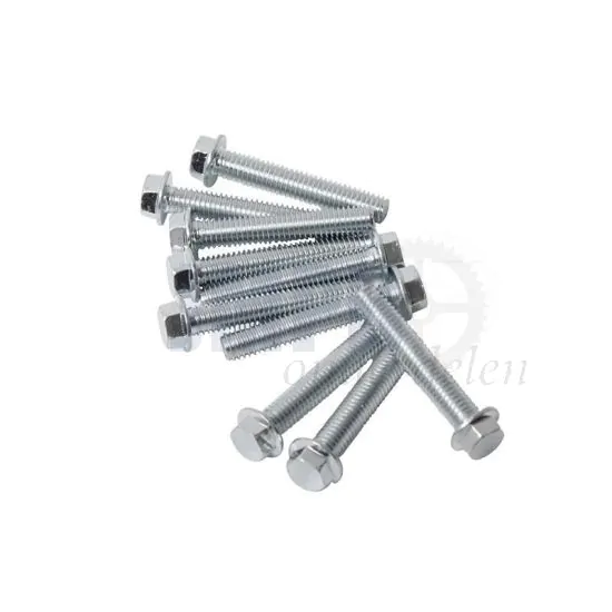 Carter Flensbout Per Stuk M6X35 Model Honda