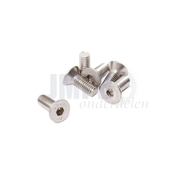 Bout Verzonken M4X16 RVS Din 7991