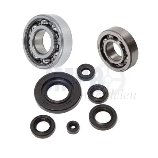 Krukaslager + Keerringset Honda MT/MB 50