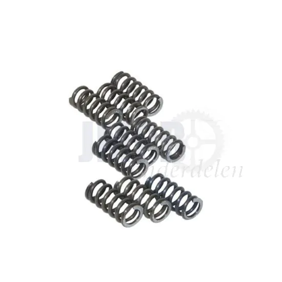 Koppelingdrukveerset Sachs 3/4V Race