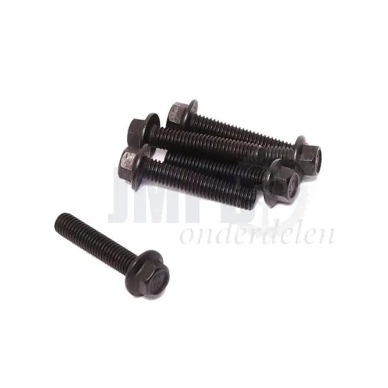 Flensbout Zwart M6X30 Zeskant