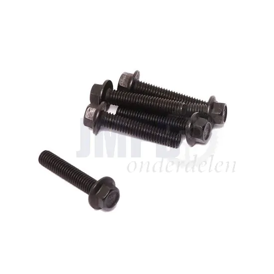 Flensbout Zwart M6X25 Zeskant