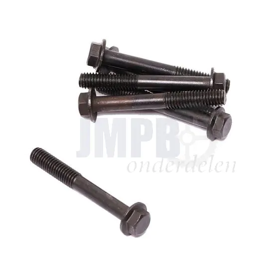 Flensbout Zwart M6X45 Zeskant