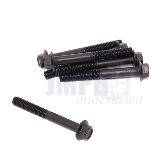 Flensbout Zwart M6X50 Zeskant