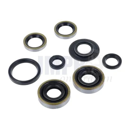 Keerringset Sachs 3 Versnellingen