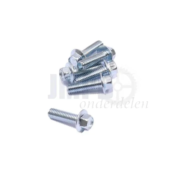 Flensbout ELVZ M6X20 SW8
