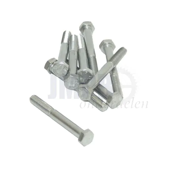 Bout Zeskant M6X50 RVS Din 931