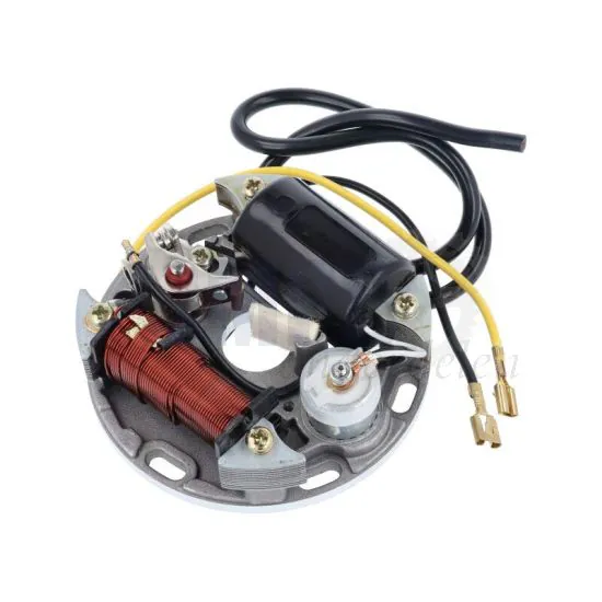 Ontsteking 6 Volt 17 Watt Model Bosch