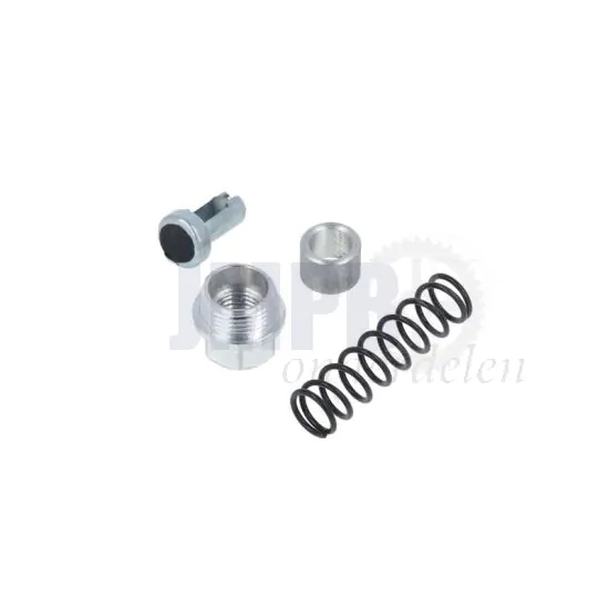 Chokeset Bing 19MM Sachs