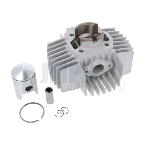 50CC Cilinder Puch Maxi DMP