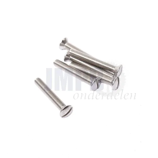 Lensbout M6X35 RVS Din 964